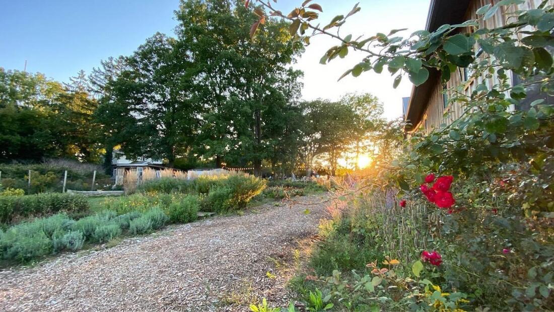 a garden path at sunset at WIldflowers Farm